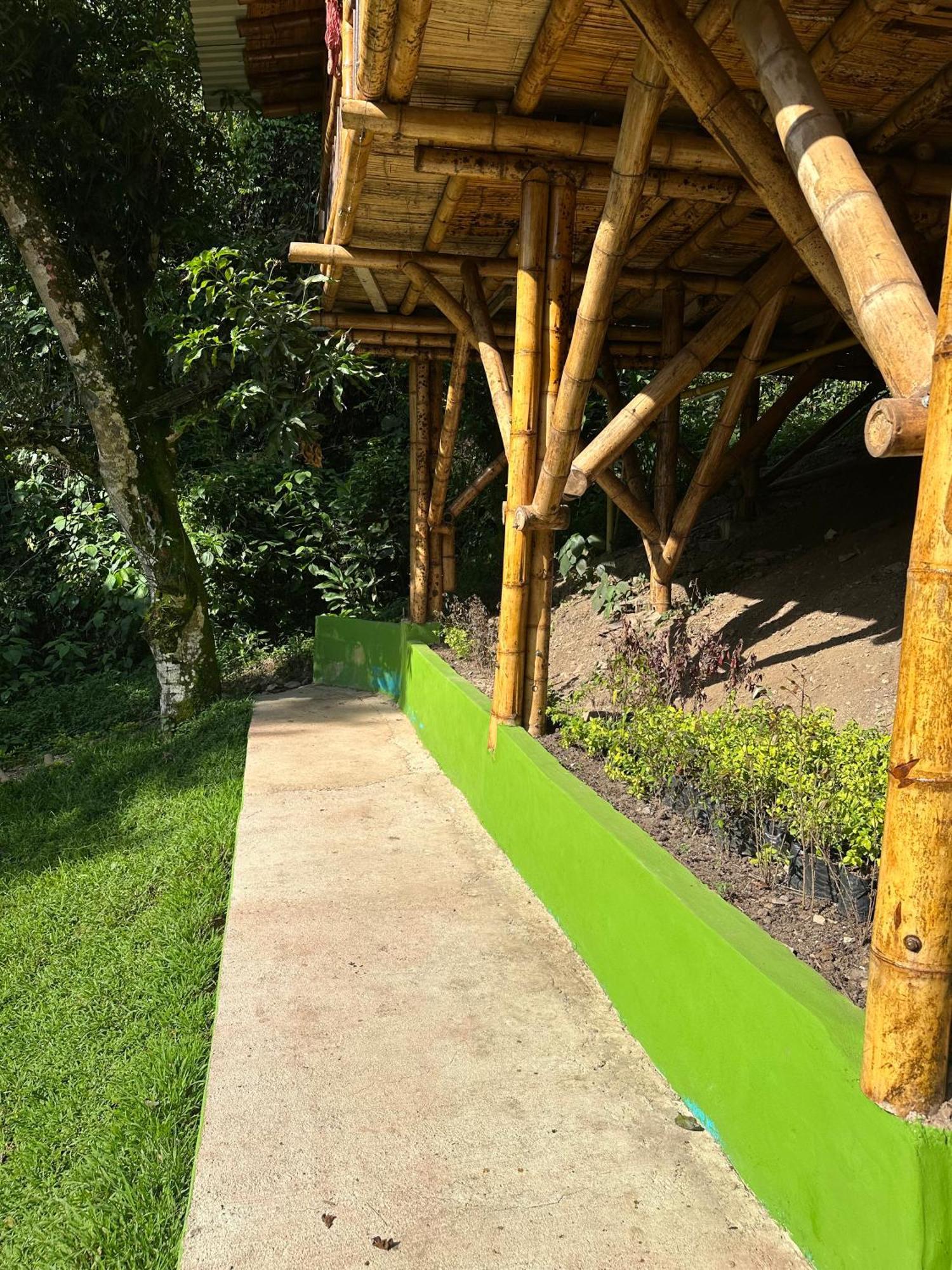Ecohotel Monteverde La Vega  Zewnętrze zdjęcie
