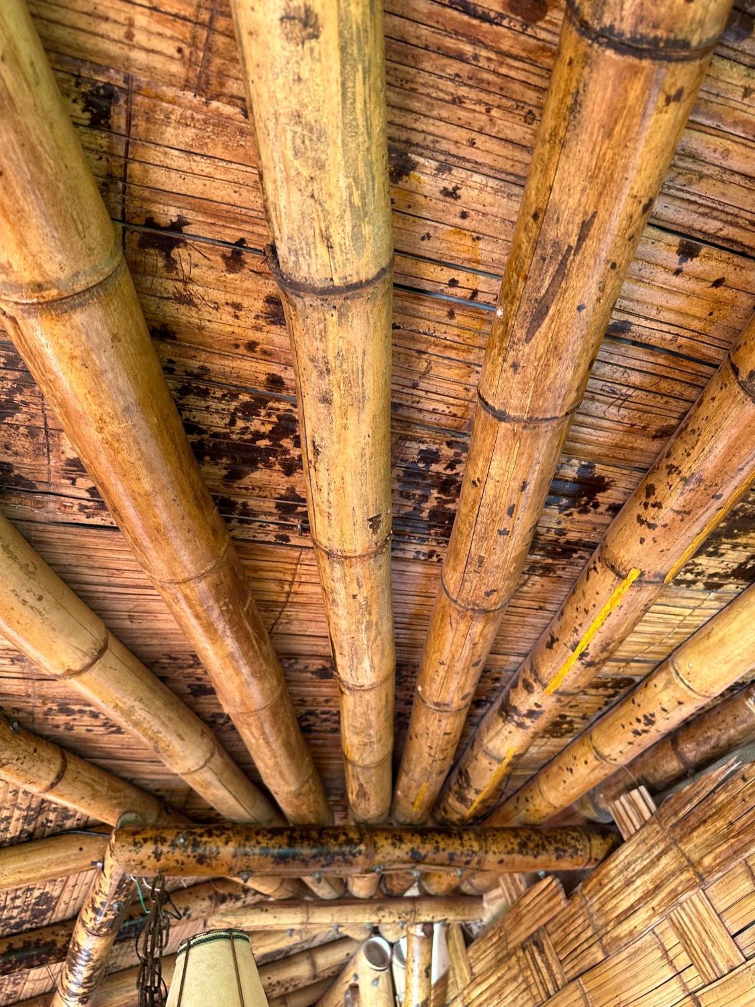 Ecohotel Monteverde La Vega  Zewnętrze zdjęcie