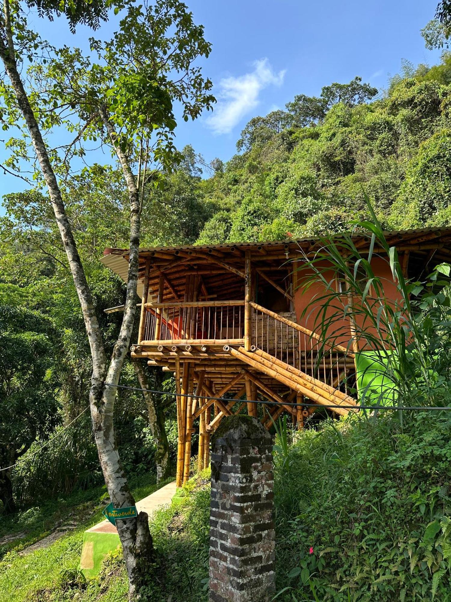 Ecohotel Monteverde La Vega  Zewnętrze zdjęcie