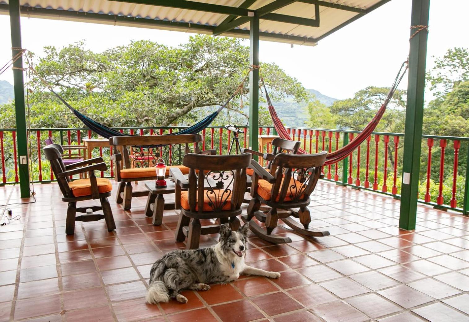 Ecohotel Monteverde La Vega  Zewnętrze zdjęcie