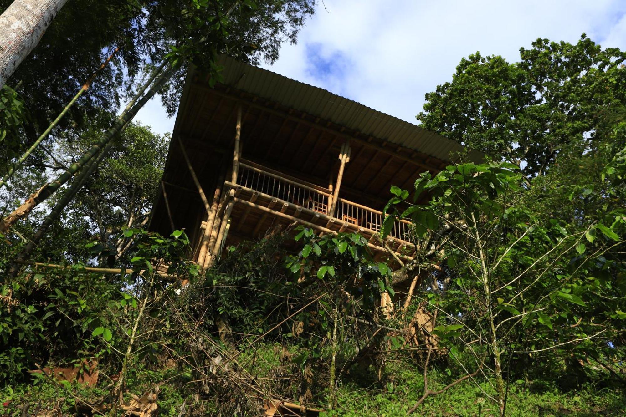 Ecohotel Monteverde La Vega  Zewnętrze zdjęcie