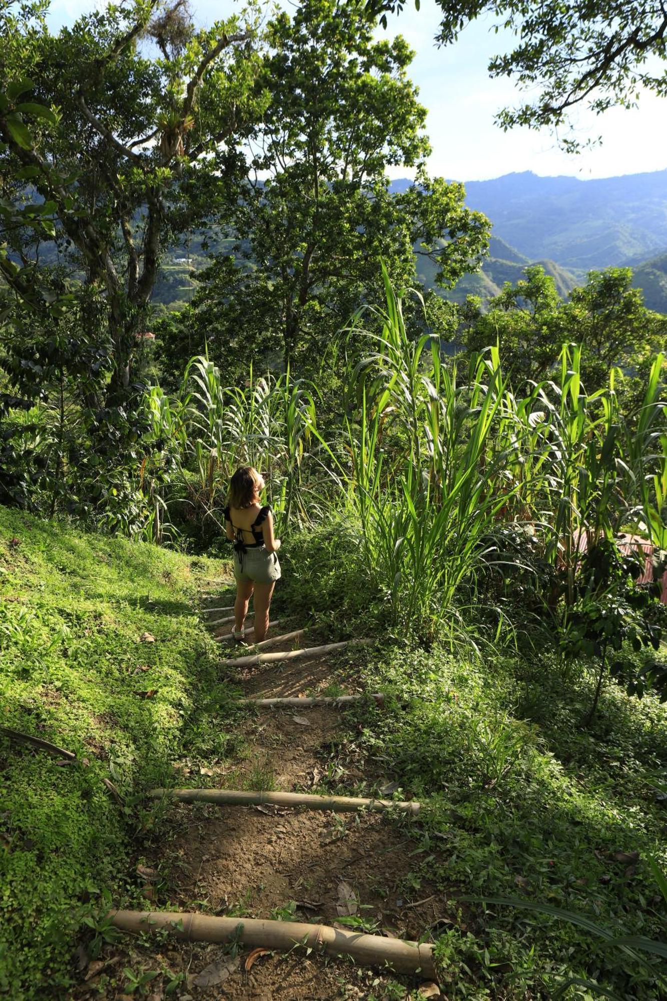 Ecohotel Monteverde La Vega  Zewnętrze zdjęcie